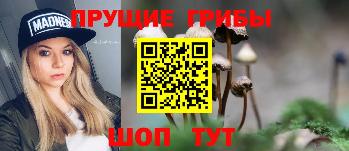 Псилоцибиновые грибы Psilocybine cubensis  Псилоцибиновые грибы ЛСД  Междуреченск  Вход с VPN 